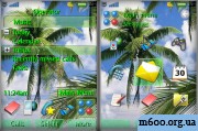 Palms