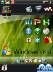 Vista