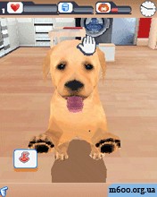 Dogz / ������