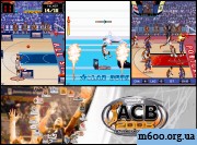 ACB 2008