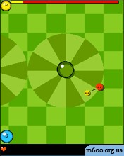 Twin Spin