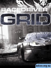 Race Driver Grid
