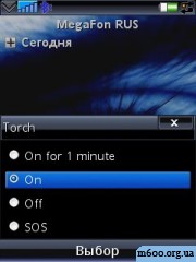 Torch