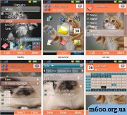 Cat Theme