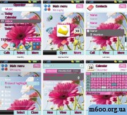 Flower Power