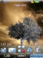 Alone tree