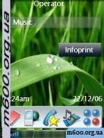 Dew