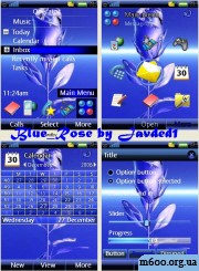 Blue_Rose by Javded1