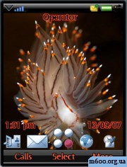 Sea Creature Themes by mzrp