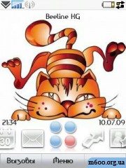 Funny Cat