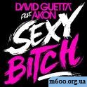 David Guetta Feat. Akon - Sexy Bitch