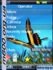 Vista Butterfly