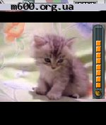 SmartMovie 3.4 full